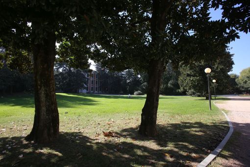 Il parco che circonda l'ateneo della Liuc a Castellanza Il parco che circonda l'ateneo della Liuc a Castellanza
