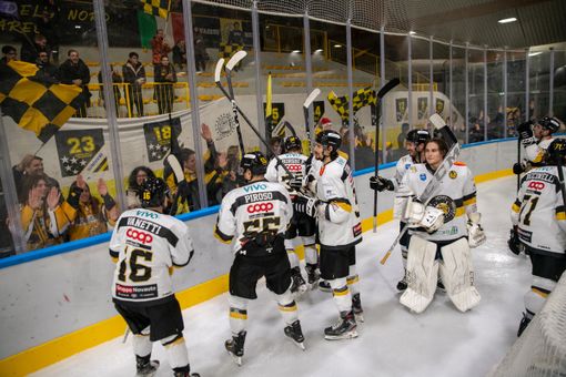 Pandemonio in via Albani per i Mastini mai così amati (Foto Alessandro Galbiati)