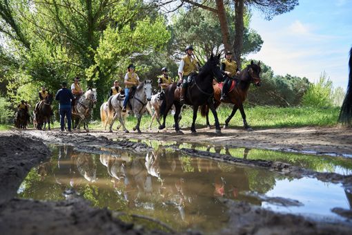 Partirà da Varese la tappa lombarda dell’Equiraduno dell’Anno Santo. Confagricoltura: «L'obiettivo è promuovere il turismo agrituristico» Partirà da Varese la tappa lombarda dell’Equiraduno dell’Anno Santo. Confagricoltura: «L'obiettivo è promuovere il turismo agrituristico»