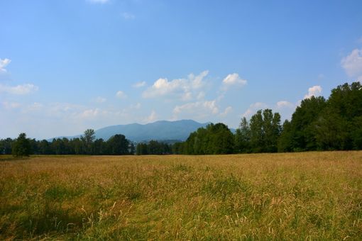 (Foto P.Valisa - CGP da Bodio)