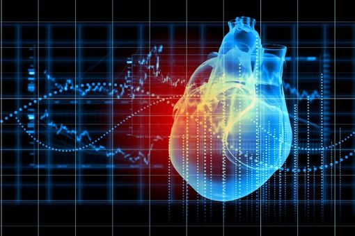 Università dell'Insubria tra i protagonisti del progetto che mette l’Intelligenza Artificiale al servizio della cardiologia