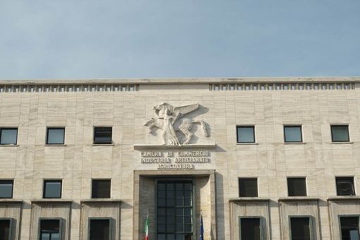 Camera di Commercio: ponte tra formazione e tessuto produttivo
