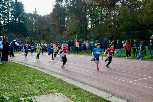 Foto AFG Varese -  Galbiati Roberto