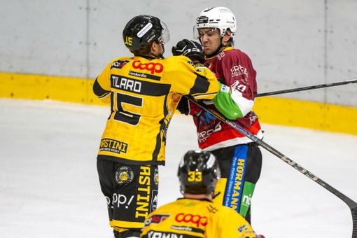 A Feltre serve una partita da "disperati": i Mastini non si amano perché vincono, ma perché combattono A Feltre serve una partita da "disperati": i Mastini non si amano perché vincono, ma perché combattono