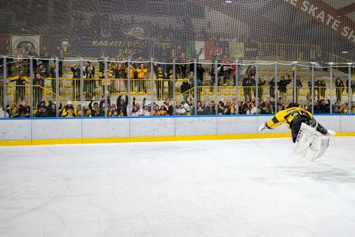 Pippo Matonti si tuffa verso curva e popolo giallonero a fine partita (Foto Galbiati) Pippo Matonti si tuffa verso curva e popolo giallonero a fine partita (Foto Galbiati)