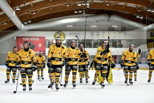 Mastini, via al sogno playoff: ecco le modalità per l'acquisto dei biglietti