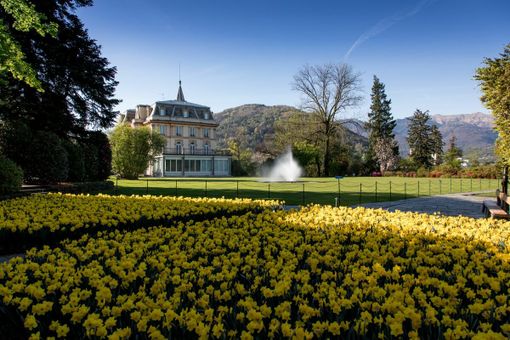 I Giardini di Villa Taranto a Verbania I Giardini di Villa Taranto a Verbania