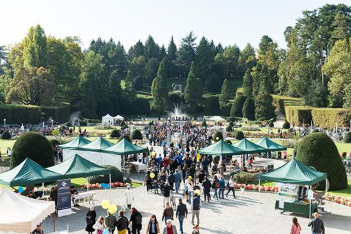 L'agricoltura si presenta e fa bella la città: domenica torna AgriVarese