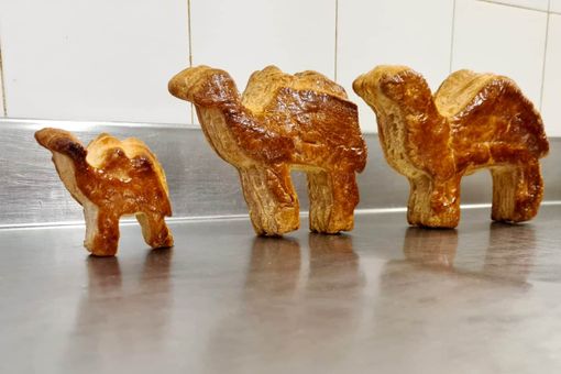 La Lega punta forte sulla tradizione varesina: «Valorizziamo i cammelli dell'Epifania e il falò di Sant'Antonio»