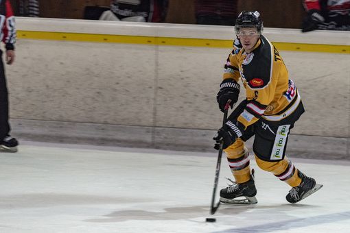 Daniel Ross Tedesco, numero 6 giallonero: è bastata la prima partita per conquistare il cuore dei Mastini e del Palalbani con alcuni numeri d'alta scuola (foto Alessandro Galbiati)
