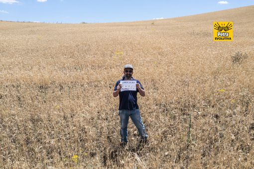 Adottare un campo di grano: “poesia di un amore” che diventa un’esperienza di umanità Adottare un campo di grano: “poesia di un amore” che diventa un’esperienza di umanità