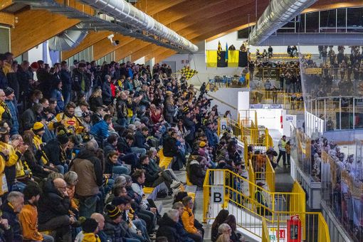 I tifosi gialloneri all'Acinque Ice Arena - Foto di Alessandro Galbiati