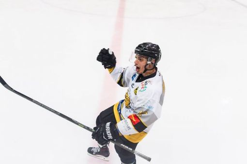 Mastini Varese, Openjobmetis nuovo sponsor. Venerdì sarà svelata ai tifosi la nuova maglia