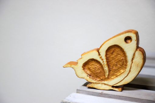 La farfalla è il dolcissimo simbolo dell'associazione Sulle Ali