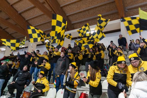 Non è l'Acinque Ice Arena ma la Sapiens Arena di Pergine invasa dai tifosi gialloneri del Varese la sera di Santo Stefano: se questo non è amore... (foto Fabrizio Gamberini - PhotoSport &amp; More)