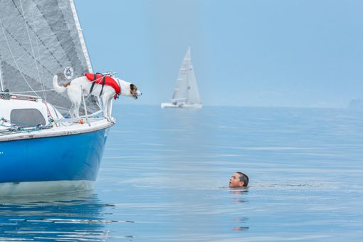 Sport e solidarietà alle premiazioni di Vela Viva 15 Sport e solidarietà alle premiazioni di Vela Viva 15