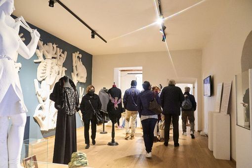 Foto della mostra al Midec di Massimo Zanderin