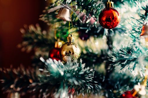 Albero di Natale: il significato di questo tradizionale simbolo Albero di Natale: il significato di questo tradizionale simbolo