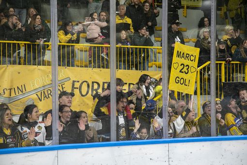 Domani sera torna la bolgia giallonera all'Acinque Ice Arena (foto Alessandro Umberto Galbiati)