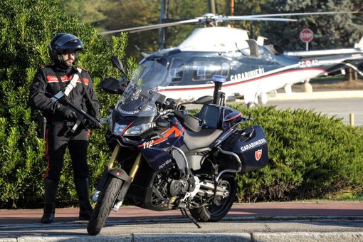 Droga, alcol, coltelli e gatti "abusivi". Raffica di controlli dei carabinieri di Busto Arsizio Droga, alcol, coltelli e gatti "abusivi". Raffica di controlli dei carabinieri di Busto Arsizio