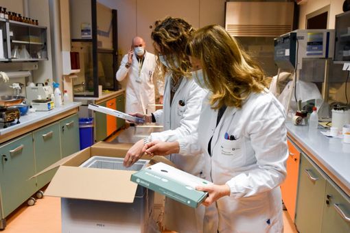 Covid-19, in Italia oggi 14.242 nuovi casi e 616 decessi. In Veneto 166 morti in un giorno, Sicilia seconda regione più colpita