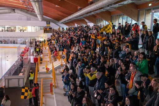 Popolo giallonero mobilitato per trascinare i Mastini domani sera in gara 3 (Photosport &amp; More)