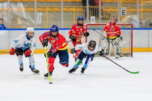 Quasi duecento giovanissimi riempiono di futuro l'Acinque Ice Arena grazie al Torneo Città di Varese (Fotografia Galbiati) Quasi duecento giovanissimi riempiono di futuro l'Acinque Ice Arena grazie al Torneo Città di Varese (Fotografia Galbiati)