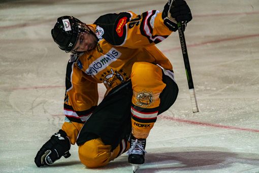 Mastini, non c'è tempo per rilassarsi: domani arriva il Valdifiemme