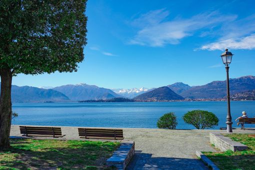 «Con "Incubatoio naturale" salviamo i pesci del Lago Maggiore» «Con "Incubatoio naturale" salviamo i pesci del Lago Maggiore»
