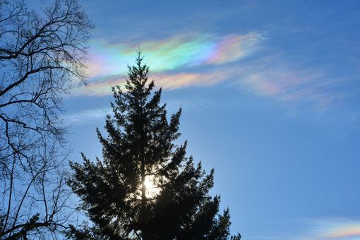 Nubi iridescenti nei cieli della provincia di Varese (foto tratta dalla pagina Facebook ufficiale del Centro Geofisico Prealpino) Nubi iridescenti nei cieli della provincia di Varese (foto tratta dalla pagina Facebook ufficiale del Centro Geofisico Prealpino)