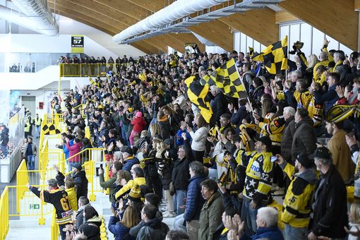 Sarà un'Acinque Ice Arena da "finale" per la partitissima con il Caldaro: coreografie, ospiti ed mvp scelto dai tifosi. Sold out vicino Sarà un'Acinque Ice Arena da "finale" per la partitissima con il Caldaro: coreografie, ospiti ed mvp scelto dai tifosi. Sold out vicino