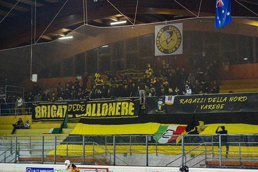 MASTINI SFRATTATI. La società di gestione: «Dette cose non vere, tranne una». I Ragazzi della Nord: «Chi di dovere agisca per Varese e per i tifosi» MASTINI SFRATTATI. La società di gestione: «Dette cose non vere, tranne una». I Ragazzi della Nord: «Chi di dovere agisca per Varese e per i tifosi»