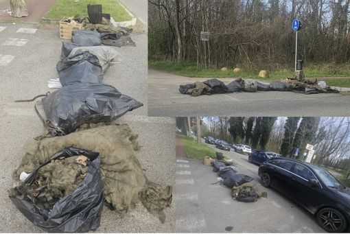 Scia di rifiuti in viale Gabardi a Busto: «Uno spettacolo intollerabile, aiutateci a scovare gli incivili» Scia di rifiuti in viale Gabardi a Busto: «Uno spettacolo intollerabile, aiutateci a scovare gli incivili»