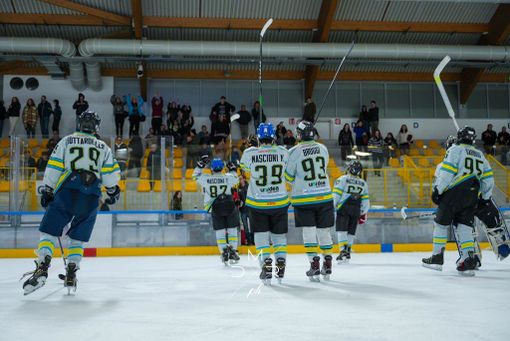 I Crazy Bees Varese giocano in casa le final four che assegnano il titolo del campionato Cnhl: meritano un grande pubblico