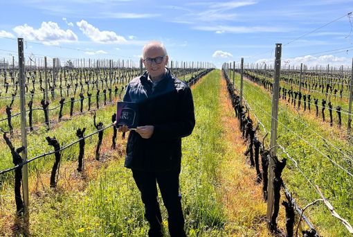 Lo scrittore sommelier varesino Eugenio Marangoni in mezzo alle sue amate vigne
