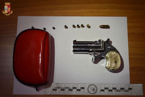 Busto Arsizio, il cane poliziotto Jack scova una Derringer calibro 6 nascosta tra i rovi