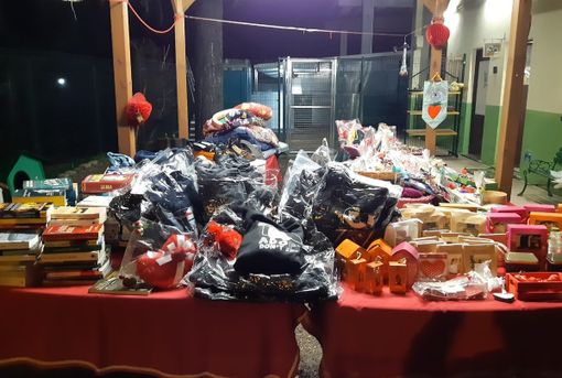 Mercatini di San Valentino al canile di Busto. Un gesto d’amore per gli amici a quattro zampe Mercatini di San Valentino al canile di Busto. Un gesto d’amore per gli amici a quattro zampe