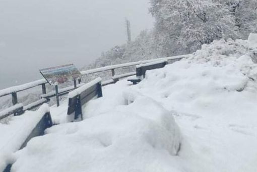 Una nevicata al Campo dei Fiori dell'anno scorso