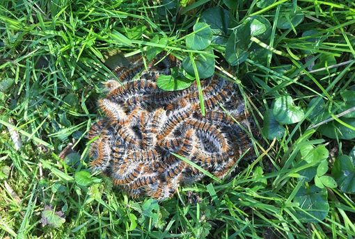 (foto d'archivio) (foto d'archivio)