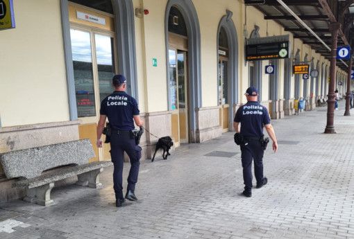 A Luino in azione "Zorro" il nuovo "agente" della polizia locale che pattuglia mercato e stazione A Luino in azione "Zorro" il nuovo "agente" della polizia locale che pattuglia mercato e stazione