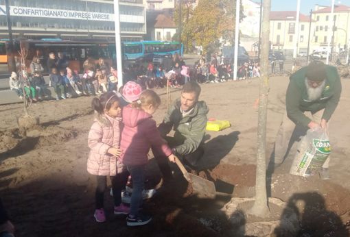 Varese rifiorisce con le magnolie. In piazza Biroldi e piazza Trieste i bambini seminano il futuro