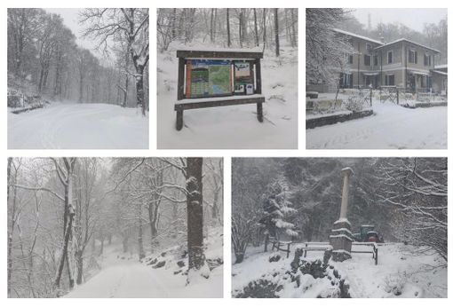 Giovedì rivedremo finalmente un paesaggio da cartolina al Campo dei Fiori? Giovedì rivedremo finalmente un paesaggio da cartolina al Campo dei Fiori?