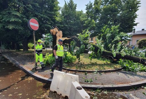 La Protezione Civile, coordinata da Roberto Saporiti, al lavoro in piazza XXV Aprile La Protezione Civile, coordinata da Roberto Saporiti, al lavoro in piazza XXV Aprile