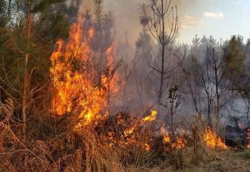 Fagnano Olona, il Comune e la Protezione Civile in prima linea contro gli incendi boschivi Fagnano Olona, il Comune e la Protezione Civile in prima linea contro gli incendi boschivi