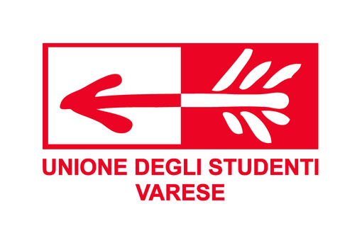 L’Unione degli Studenti di Varese in corteo per i diritti delle donne