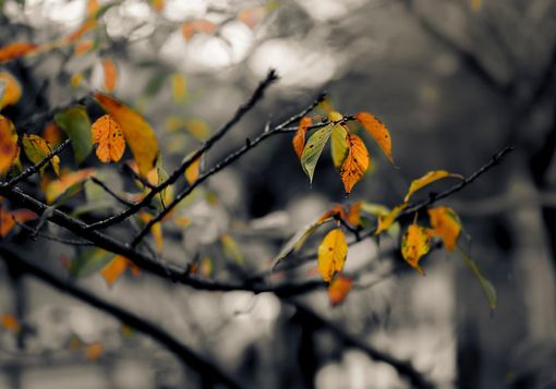 Profumo d'autunno con nuvole e pioggia. Weekend coperto Profumo d'autunno con nuvole e pioggia. Weekend coperto
