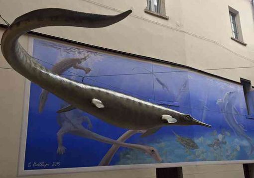 Pnrr, Bodio Lomnago e Besano: al via la creazione del primo distretto culturale della preistoria tra fossili e palafitte