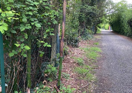 La situazione di via Vignacce a Gavirate La situazione di via Vignacce a Gavirate