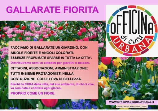 Ditelo con un fiore: «Facciamo di Gallarate un giardino»