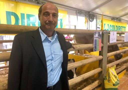 Coldiretti: «Bene proroga Pac, ora è importante concentrarsi sul futuro» Coldiretti: «Bene proroga Pac, ora è importante concentrarsi sul futuro»